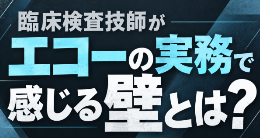 臨床検査技師がエコーの実務で感じる壁とは？｜描出・検査時間・独り立ちの悩み